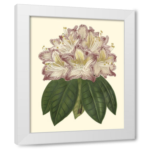 Pastel Blooms I White Modern Wood Framed Art Print by Unknown
