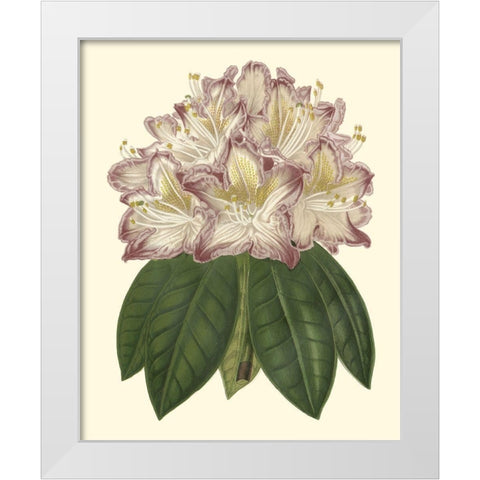Pastel Blooms I White Modern Wood Framed Art Print by Unknown