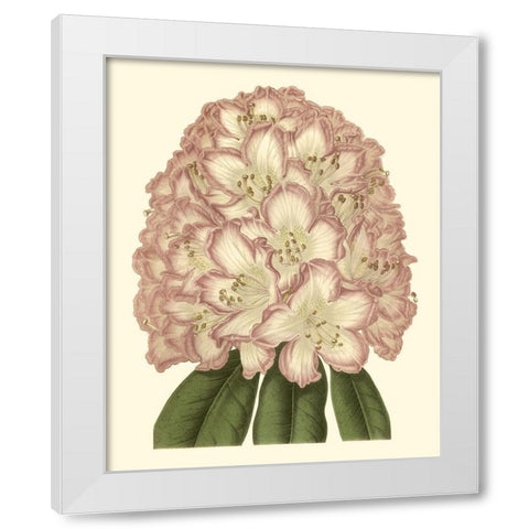 Pastel Blooms II White Modern Wood Framed Art Print by Unknown