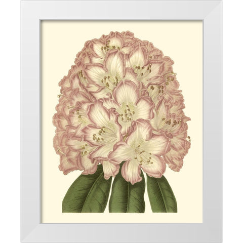 Pastel Blooms II White Modern Wood Framed Art Print by Unknown