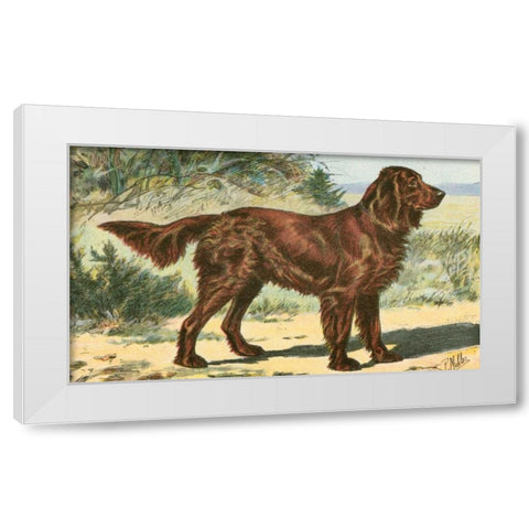 Mans Best Friend I White Modern Wood Framed Art Print by Unknown