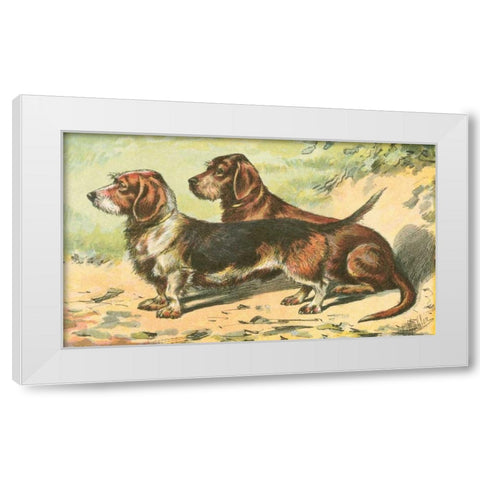 Mans Best Friend IX White Modern Wood Framed Art Print by Unknown