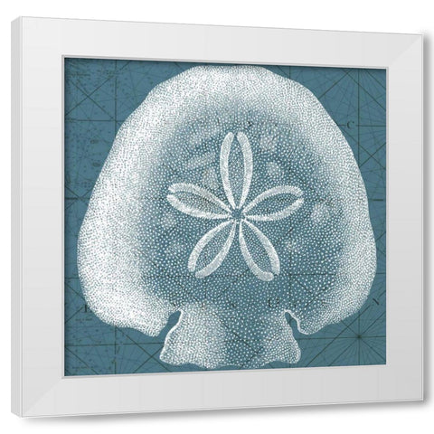 Coastal Menagerie IV White Modern Wood Framed Art Print by Vision Studio