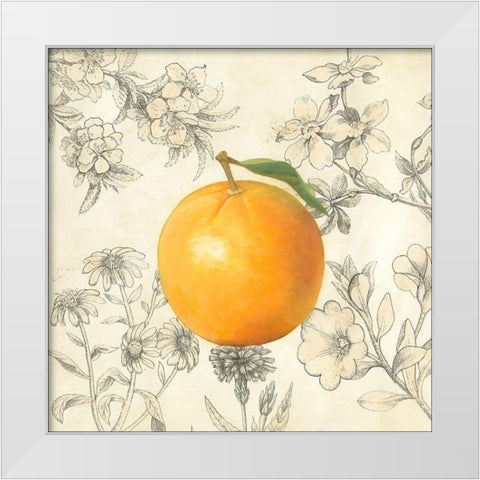 Orange and Botanicals White Modern Wood Framed Art Print by Meagher, Megan