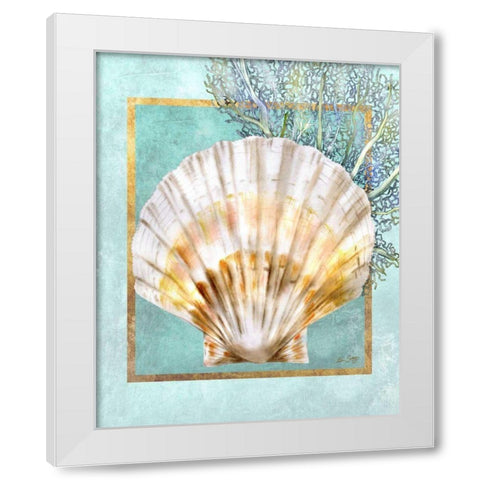 Scallop Shell and Coral White Modern Wood Framed Art Print by Schory, Lori