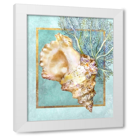 Conch Shell and Coral White Modern Wood Framed Art Print by Schory, Lori