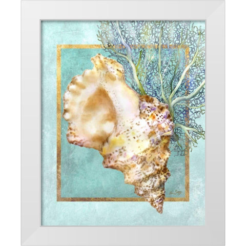 Conch Shell and Coral White Modern Wood Framed Art Print by Schory, Lori