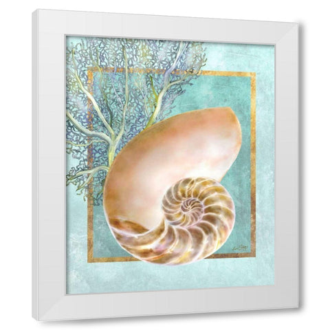 Nautilus Shell and Coral White Modern Wood Framed Art Print by Schory, Lori
