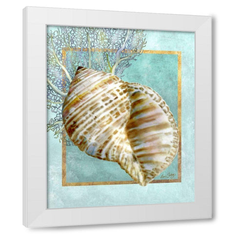 Turban Shell and Coral White Modern Wood Framed Art Print by Schory, Lori