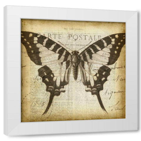 Carte Postale Butterfly I White Modern Wood Framed Art Print by Goldberger, Jennifer