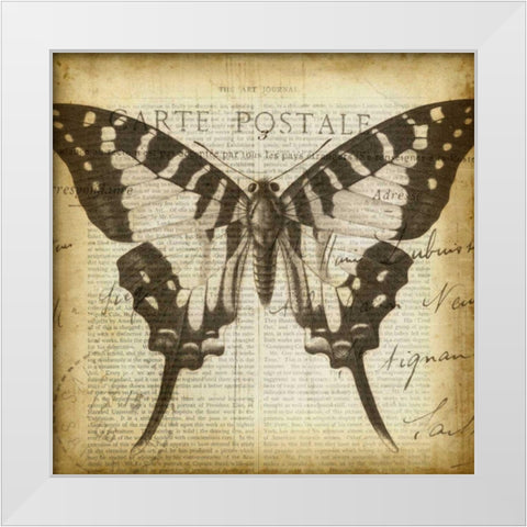 Carte Postale Butterfly I White Modern Wood Framed Art Print by Goldberger, Jennifer