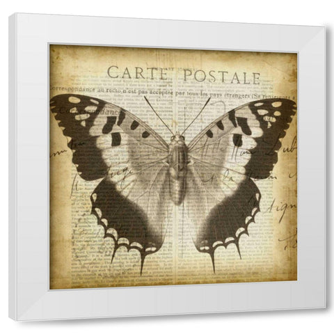 Carte Postale Butterfly II White Modern Wood Framed Art Print by Goldberger, Jennifer