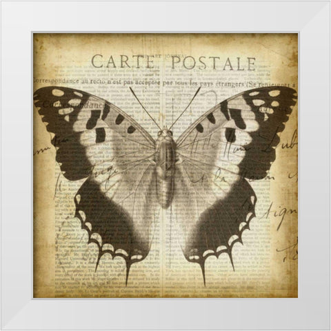 Carte Postale Butterfly II White Modern Wood Framed Art Print by Goldberger, Jennifer