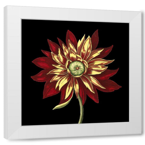 Natural Beauty on Black V White Modern Wood Framed Art Print by Vision Studio