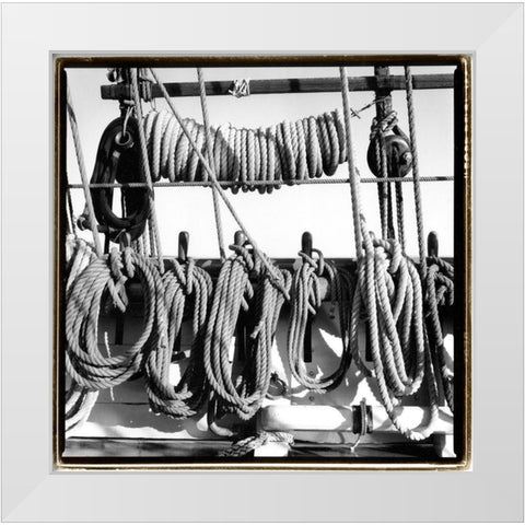 Secure II White Modern Wood Framed Art Print by DeNardo, Laura