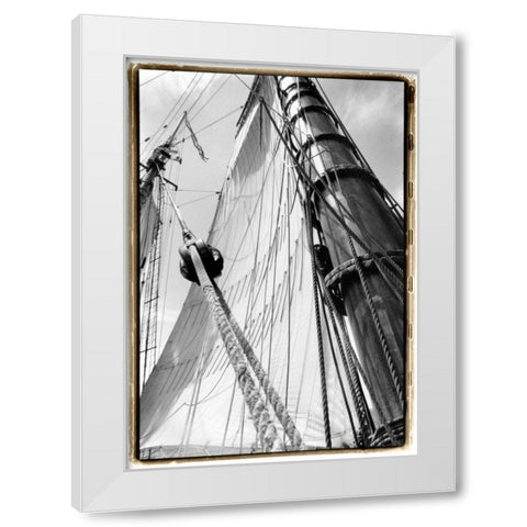 Set Sail III White Modern Wood Framed Art Print by DeNardo, Laura