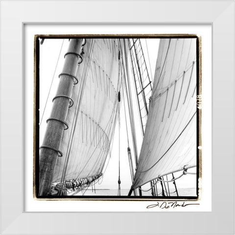 Undersail II White Modern Wood Framed Art Print by DeNardo, Laura