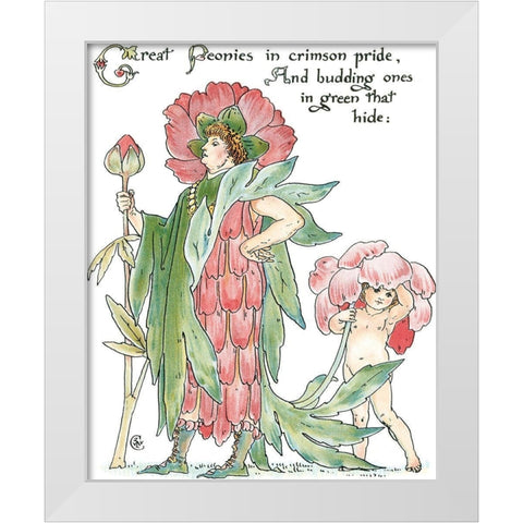 Shakespeares Garden V (Peony) White Modern Wood Framed Art Print by Crane, Walter