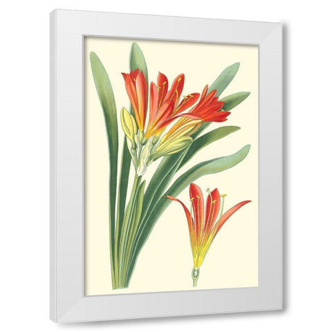 Striking Lilies III White Modern Wood Framed Art Print by Step, Edward
