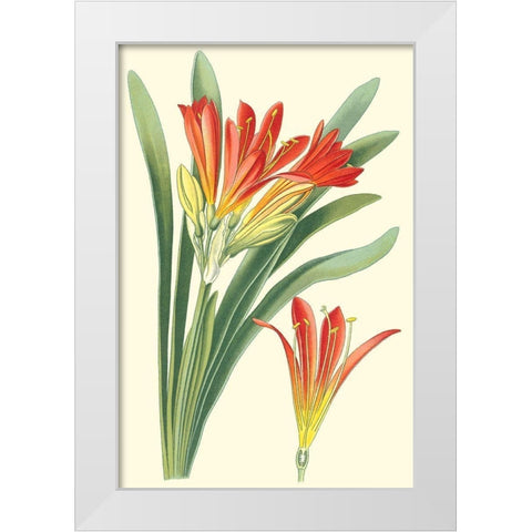 Striking Lilies III White Modern Wood Framed Art Print by Step, Edward