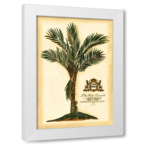 British Colonial Palm IV White Modern Wood Framed Art Print by Vision Studio