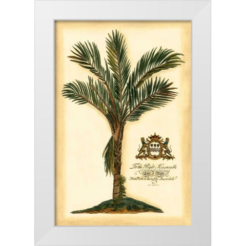 British Colonial Palm IV White Modern Wood Framed Art Print by Vision Studio