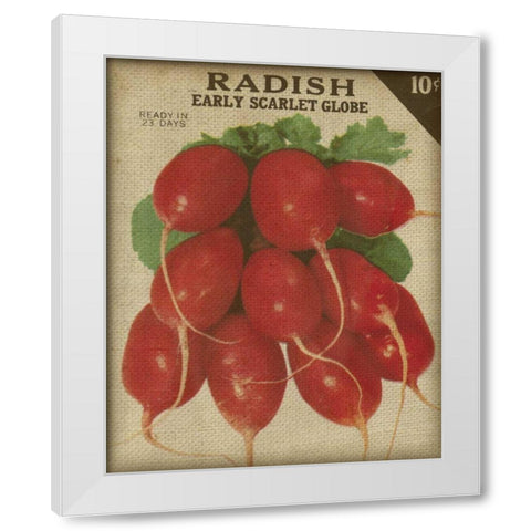 Heirloom Variety I White Modern Wood Framed Art Print by Fagalde, Jarman