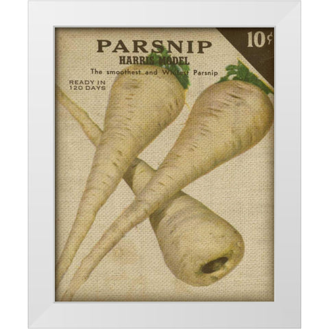 Heirloom Variety IV White Modern Wood Framed Art Print by Fagalde, Jarman
