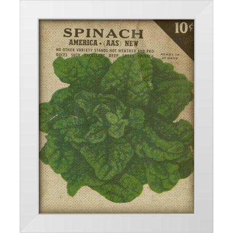 Heirloom Variety VI White Modern Wood Framed Art Print by Fagalde, Jarman