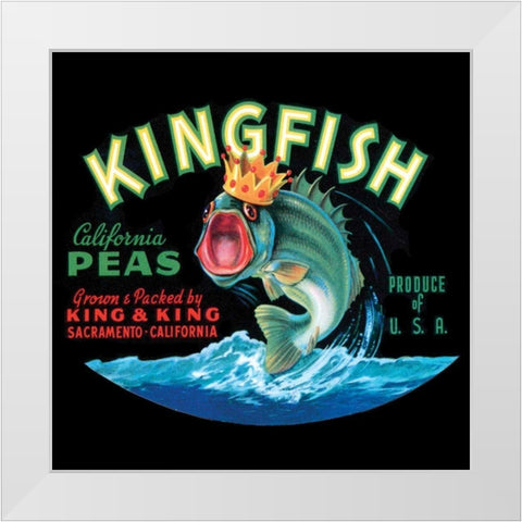 Kingfish White Modern Wood Framed Art Print by Vision Studio