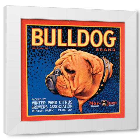 Bull Dog White Modern Wood Framed Art Print by Vision Studio