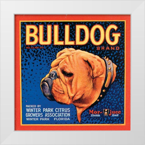 Bull Dog White Modern Wood Framed Art Print by Vision Studio