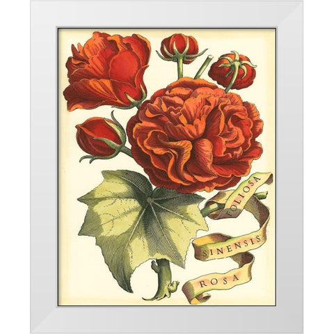 Ribbon Florals III White Modern Wood Framed Art Print by Vision Studio