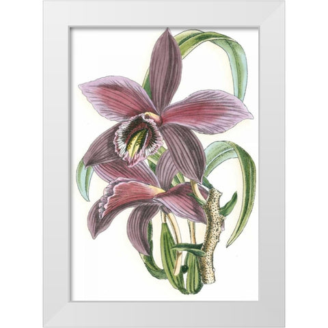 Lilac Orchid I White Modern Wood Framed Art Print by Vision Studio