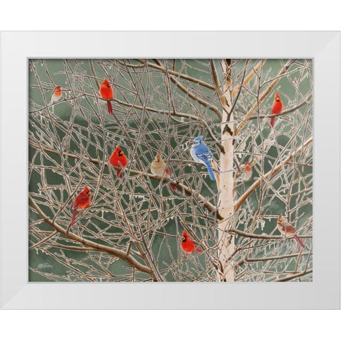 Ornaments White Modern Wood Framed Art Print by Szatkowski, Fred