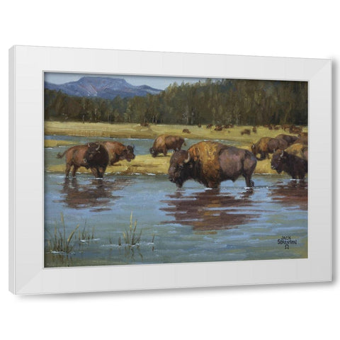 Buffalo Crossing White Modern Wood Framed Art Print by Sorenson, Jack