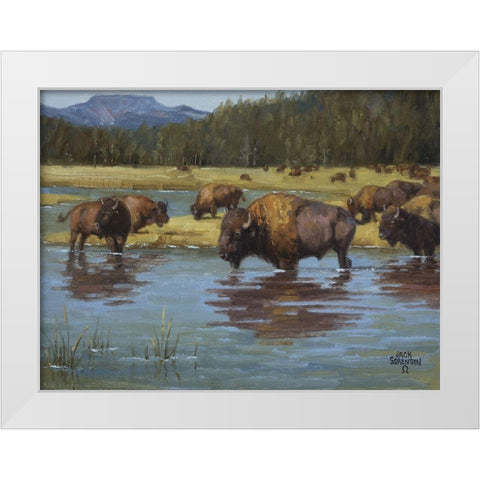 Buffalo Crossing White Modern Wood Framed Art Print by Sorenson, Jack