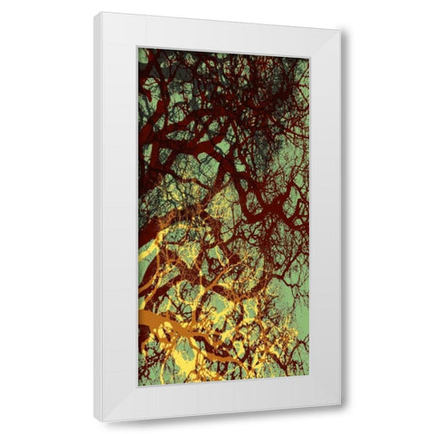 Entangle I White Modern Wood Framed Art Print by Burghardt, James
