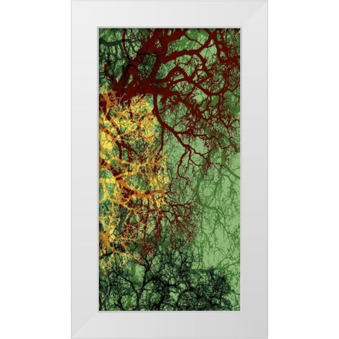 Entangle II White Modern Wood Framed Art Print by Burghardt, James