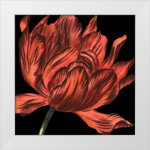 Mini Transitional Tulip IV White Modern Wood Framed Art Print by Vision Studio