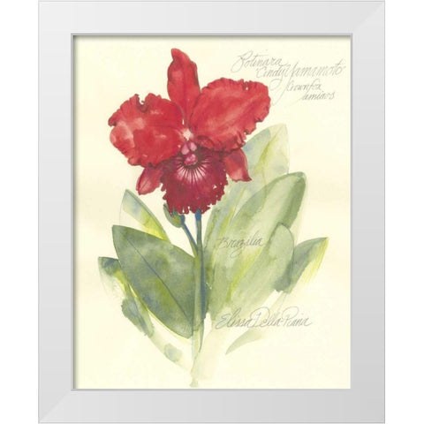 Elissas Garden I White Modern Wood Framed Art Print by Della-Piana, Elissa