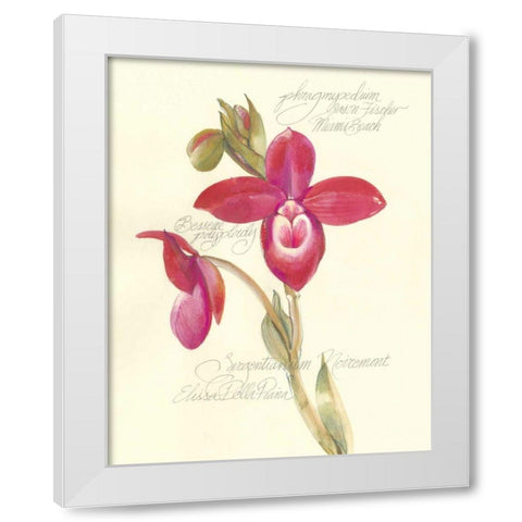 Elissas Garden II White Modern Wood Framed Art Print by Della-Piana, Elissa