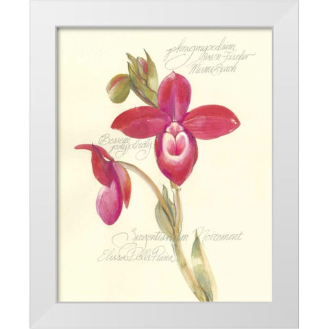 Elissas Garden II White Modern Wood Framed Art Print by Della-Piana, Elissa