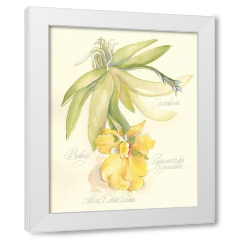 Elissas Garden III White Modern Wood Framed Art Print by Della-Piana, Elissa