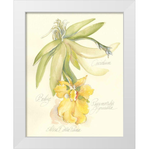 Elissas Garden III White Modern Wood Framed Art Print by Della-Piana, Elissa