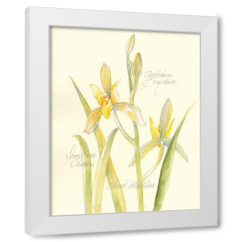 Elissas Garden IV White Modern Wood Framed Art Print by Della-Piana, Elissa