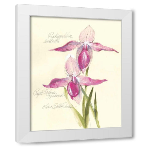 Elissas Garden VI White Modern Wood Framed Art Print by Della-Piana, Elissa