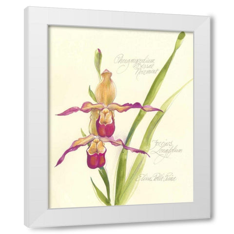 Elissas Garden VII White Modern Wood Framed Art Print by Della-Piana, Elissa