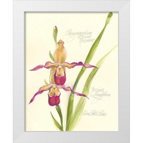 Elissas Garden VII White Modern Wood Framed Art Print by Della-Piana, Elissa