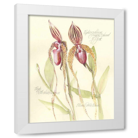 Elissas Garden VIII White Modern Wood Framed Art Print by Della-Piana, Elissa